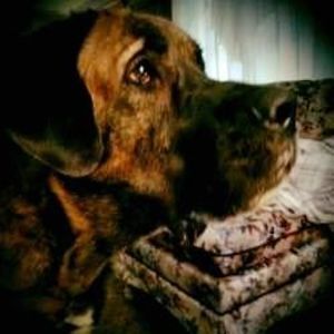 Meet your Posher, Cynthia